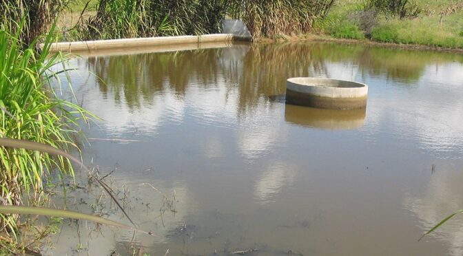 Barragem subterrânea com poço amazonas gera produção e renda.