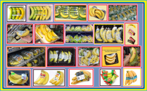 comercialização de banana