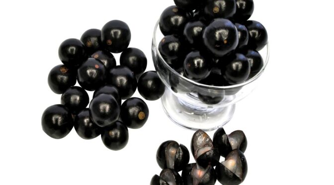 JABUTICABA GANHA PROMISSOR MERCADO PARA SEUS PRODUTOS INÉDITOS